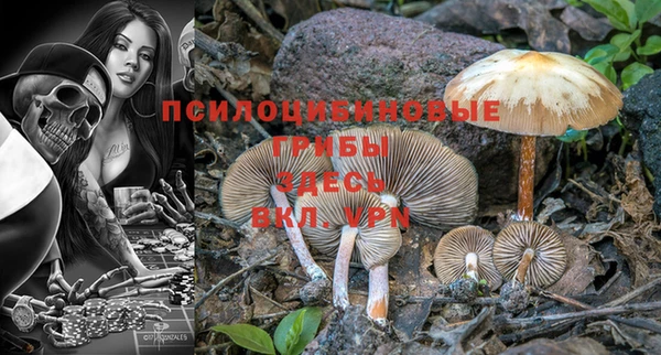 шишки Балабаново