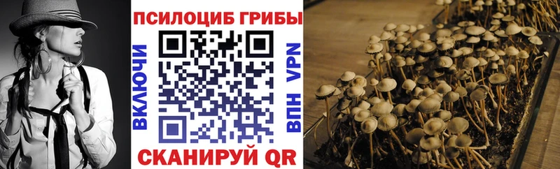 Псилоцибиновые грибы MAGIC MUSHROOMS  Переславль-Залесский 