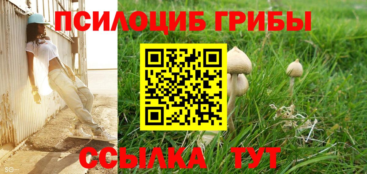 Псилоцибиновые грибы Cubensis Переславль-Залесский